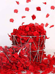🌹 Pétalos de Rosas_0