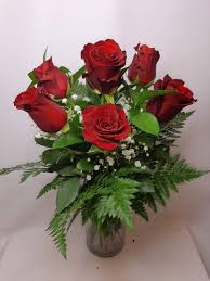 🌷 Media Docena de Rosas