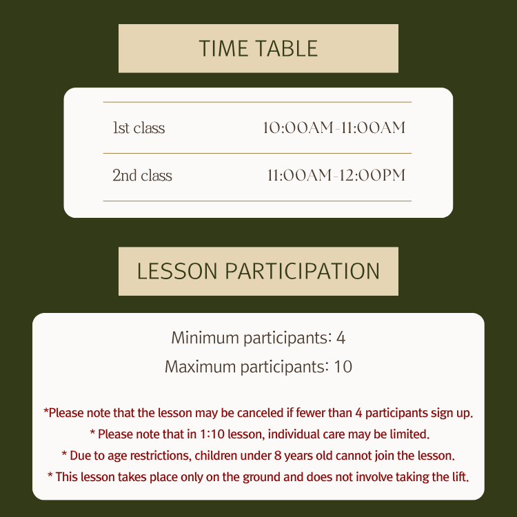 45MINUTES YONGPYONG GROUP SKI LESSON (1+1) - 2025 3rd Dec. 5th Dec. only_1