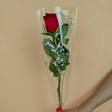 🌹 Rosa individual (una sola rosa)
