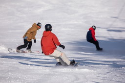 2H ALPENSIA PRIVATE SKI/SNOW BOARD LESSON