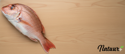 Pargo entero