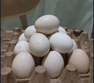 Telur Ayam Kampung