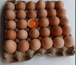 Telur Omega
