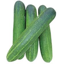 Cucumber_0