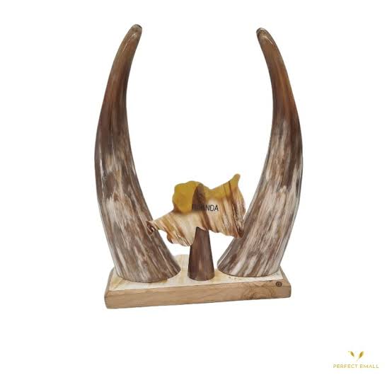 Horns deco