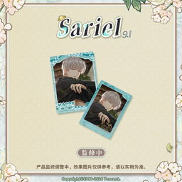 Light and Night Sariel - Photocards Set