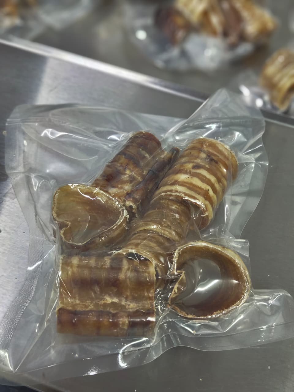 Tráquea 🐮_1