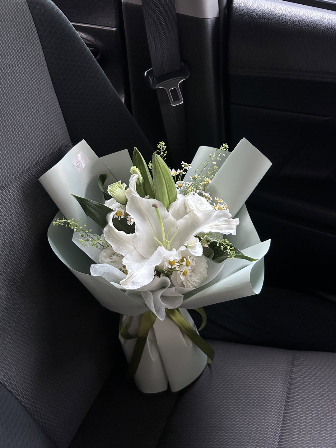 Petals & Peace Lily