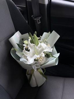 Petals & Peace Lily
