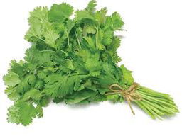 Coriander (dhania) 2 bunch