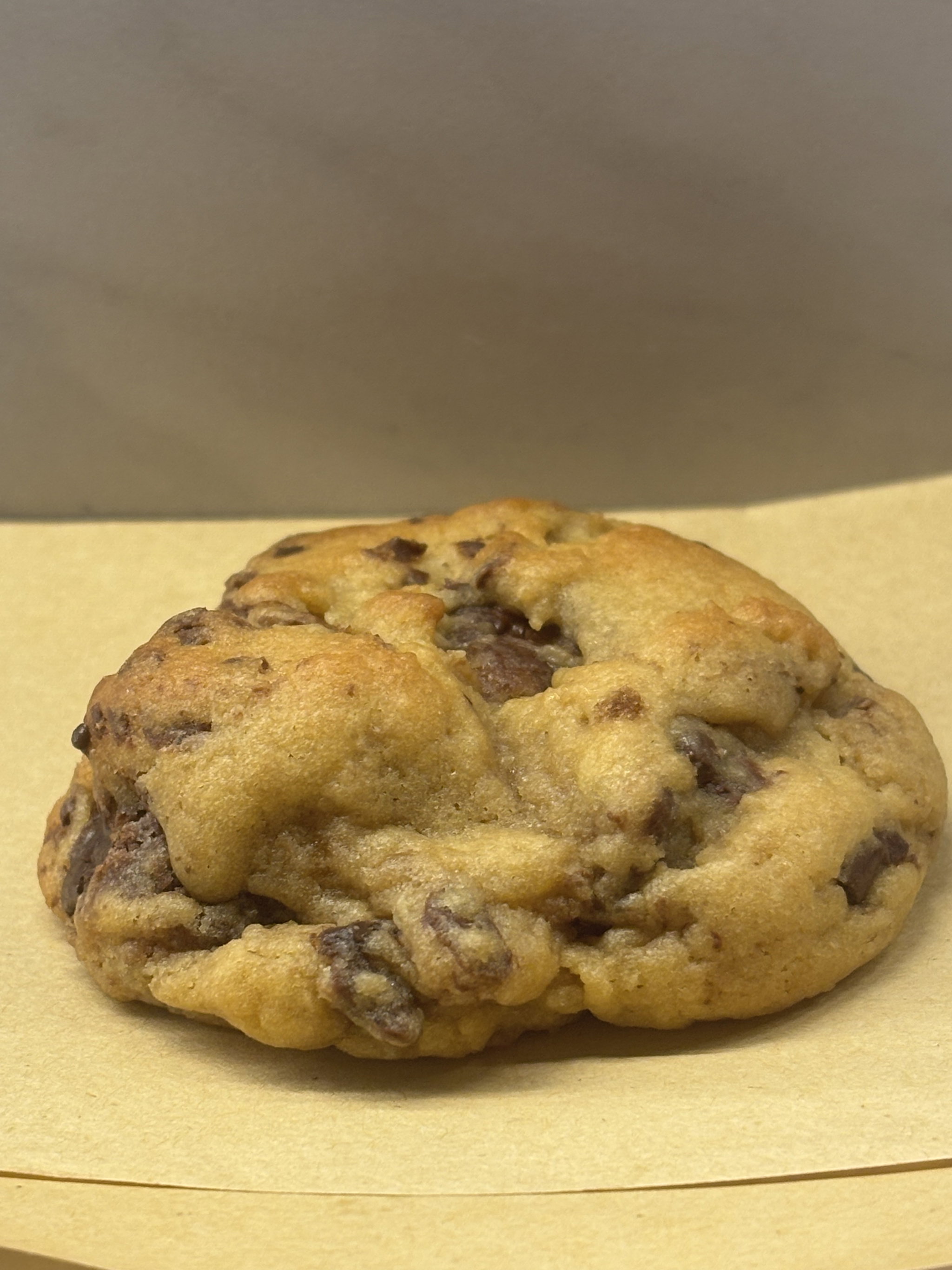 Chocolate Chip Cookie_0