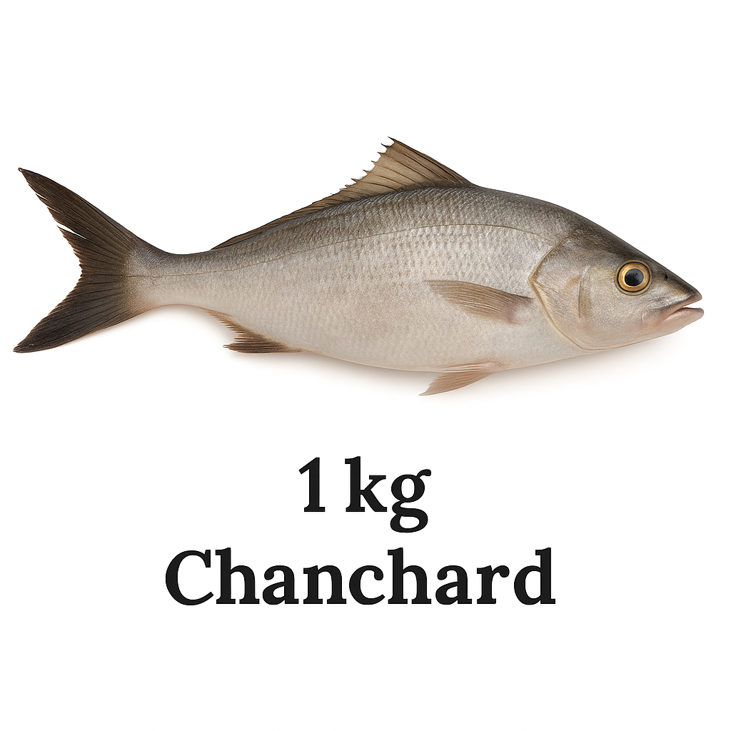 Poisson Chanchard 1kg PLC0003_0