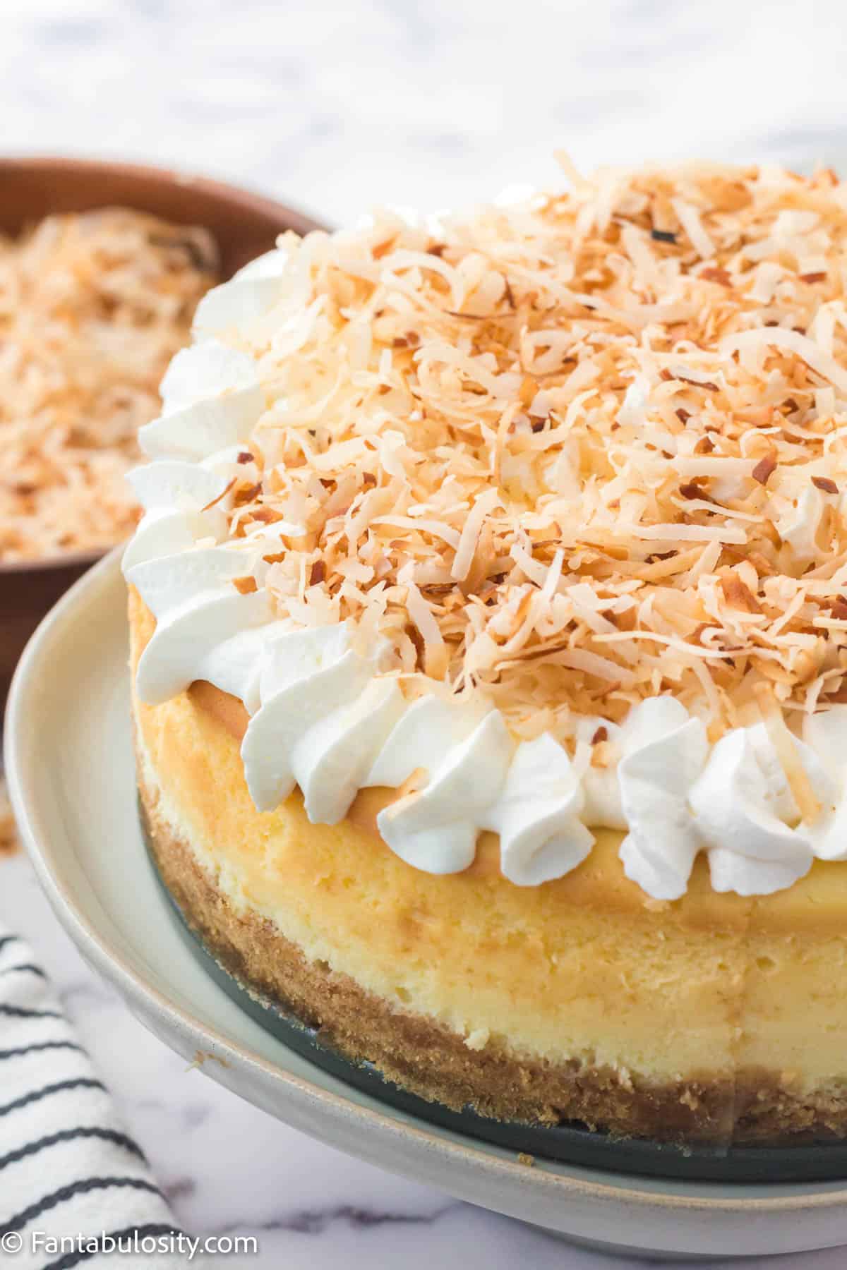 Coconut Cheesecake _1