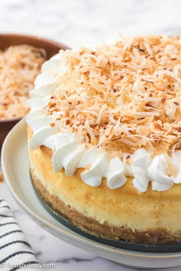 Coconut Cheesecake 