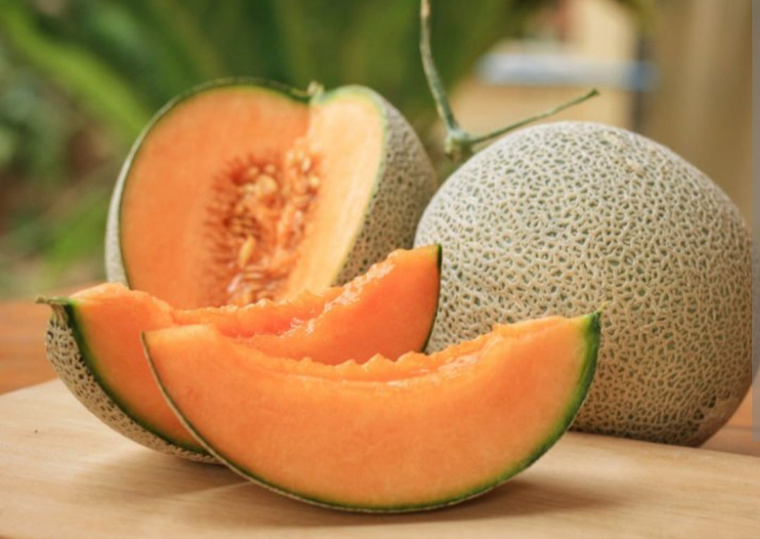 Sweet Melon_0