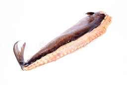 Fish Products