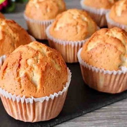 Vanilla Muffins   