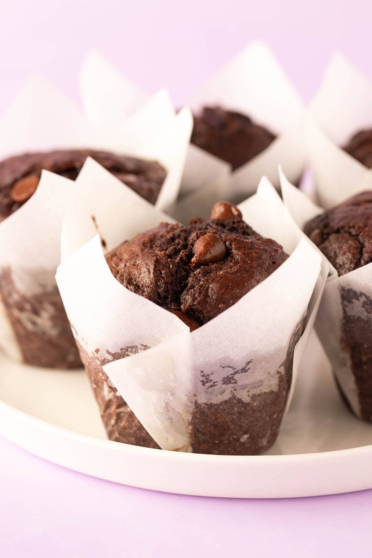 Double Choc Muffins    _1