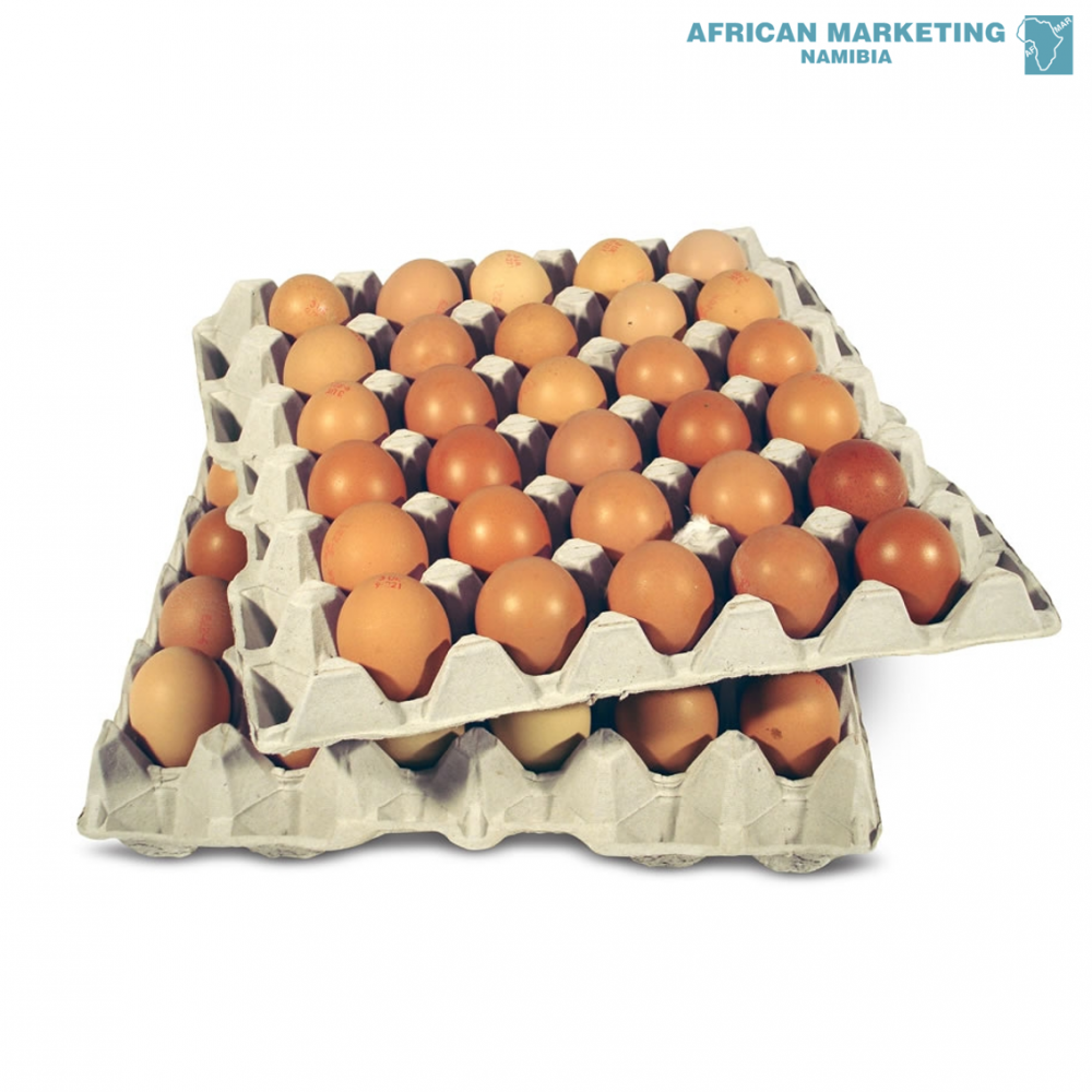 ๐ฅ Eggs All Types & All Sizes