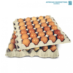 🥚 Eggs All Types & All Sizes