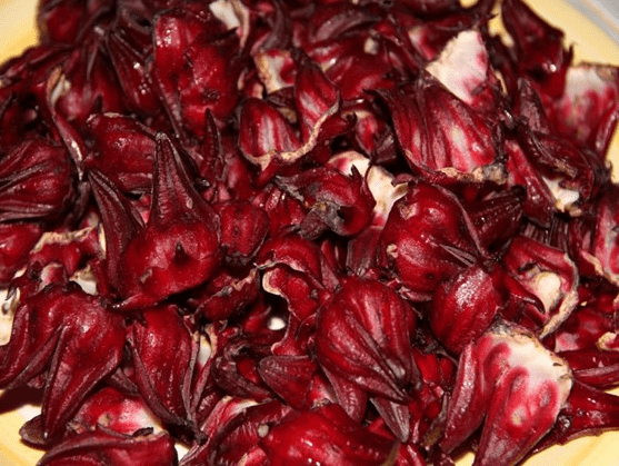 Sorrel_1