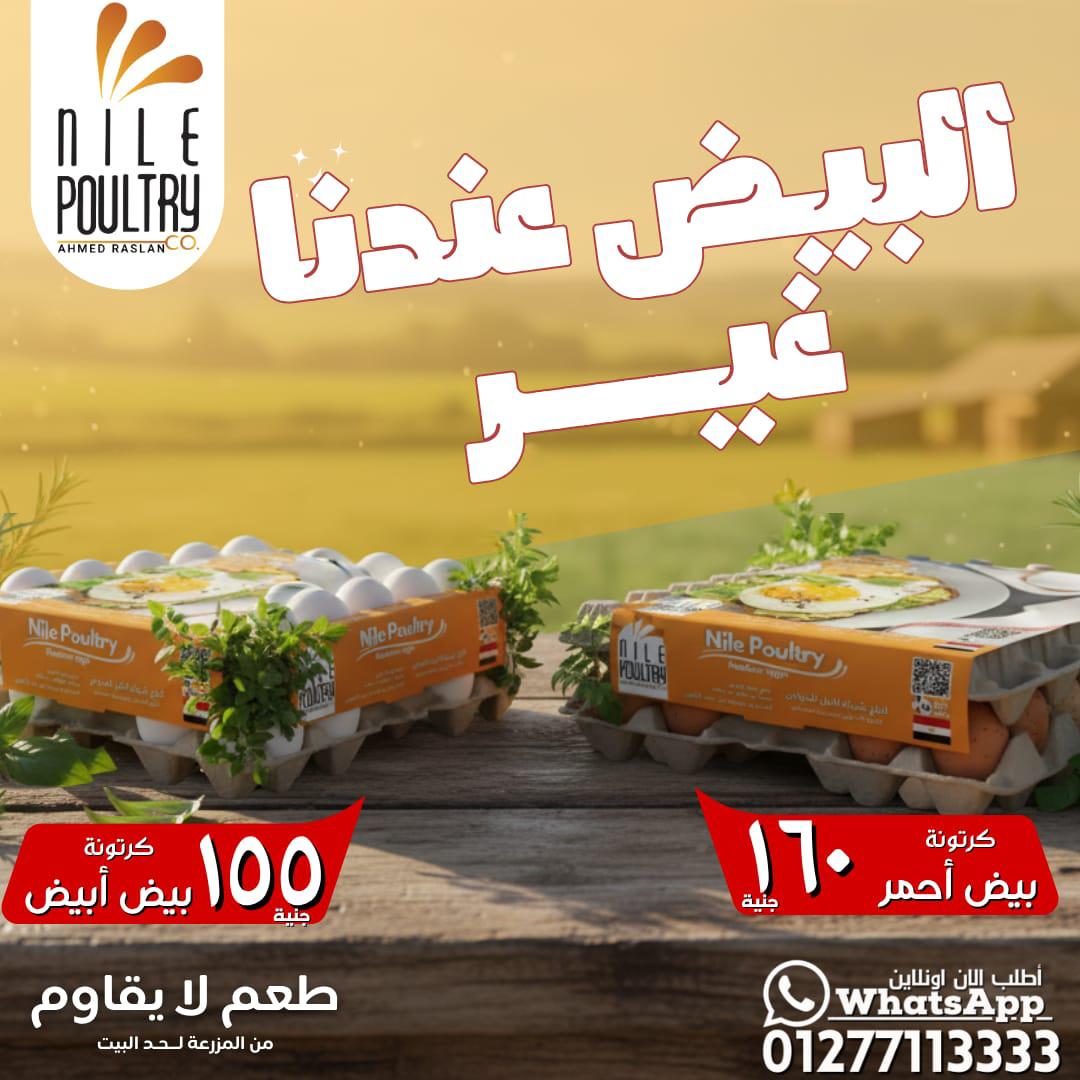 بيض احمر