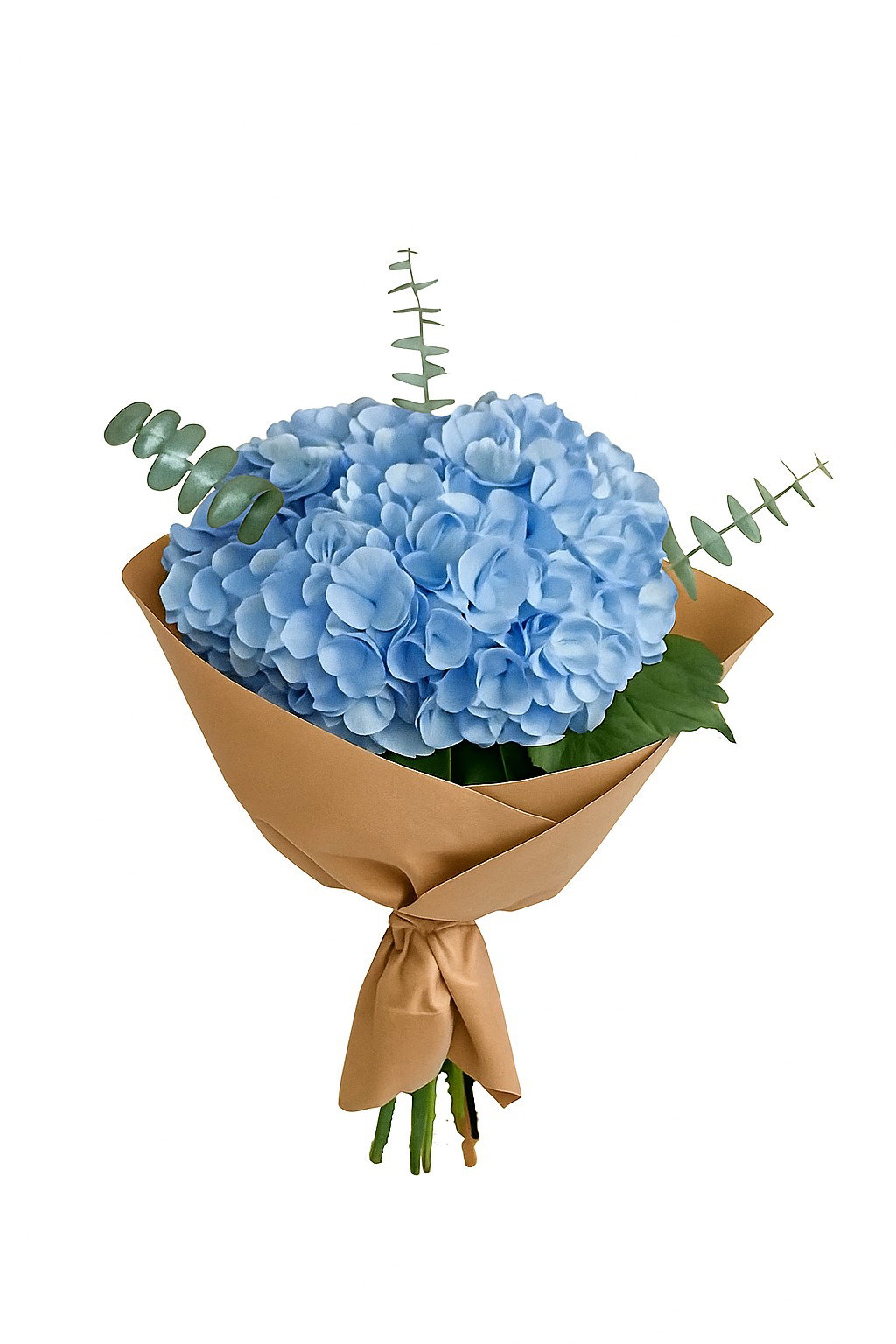 Bi-Weekly Hydrangea Subscription_0