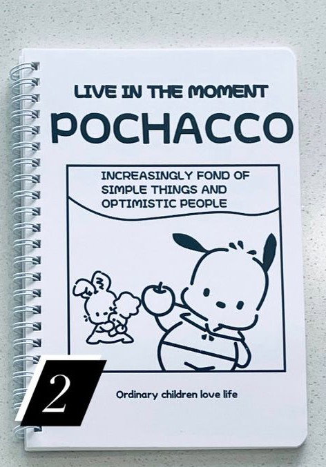 Pochaco Notebooks_3