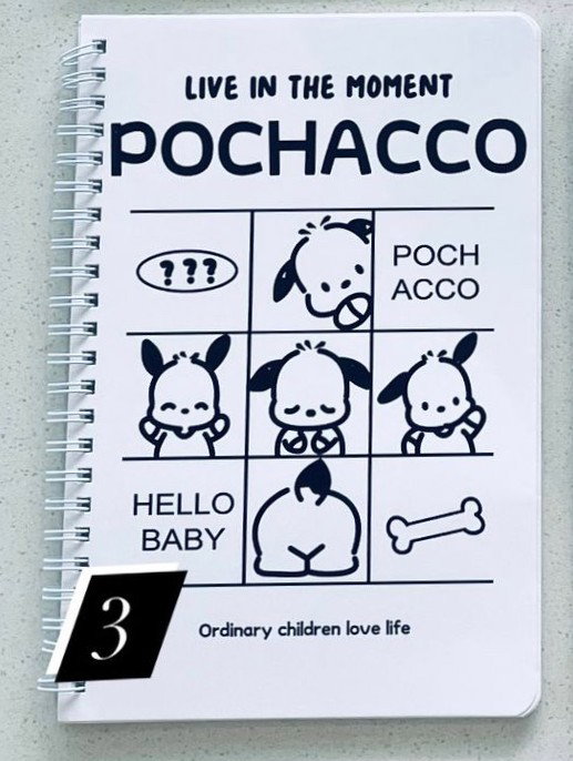 Pochaco Notebooks_4