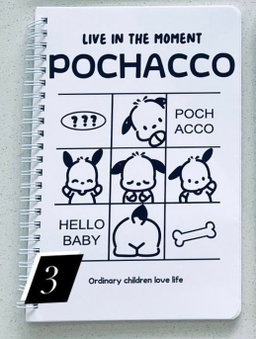Pochaco Notebooks