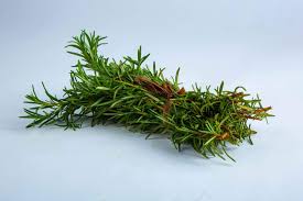 Organic rosemary bunch