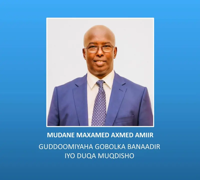 Wareegto kasoo baxday xafiiska madaxweynaha Soomaaliya, Xasan Sheekh Maxamuud
