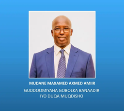 Wareegto kasoo baxday xafiiska madaxweynaha Soomaaliya, Xasan Sheekh Maxamuud
