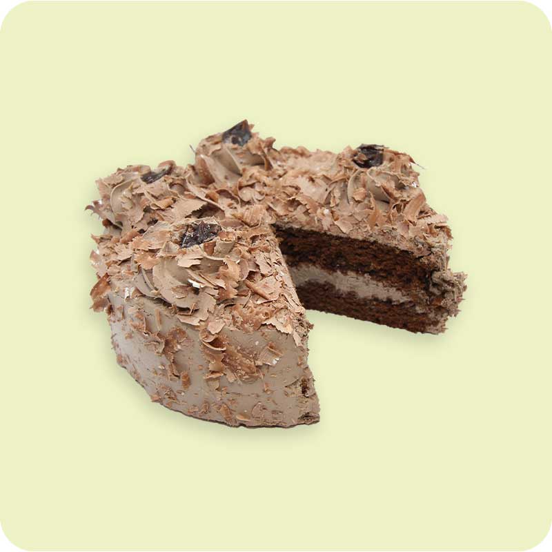Chocolate Compact Cake_0
