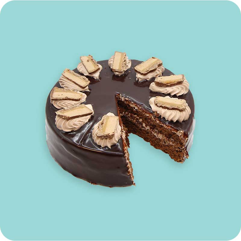 Chocolate Ganache Compact Cake