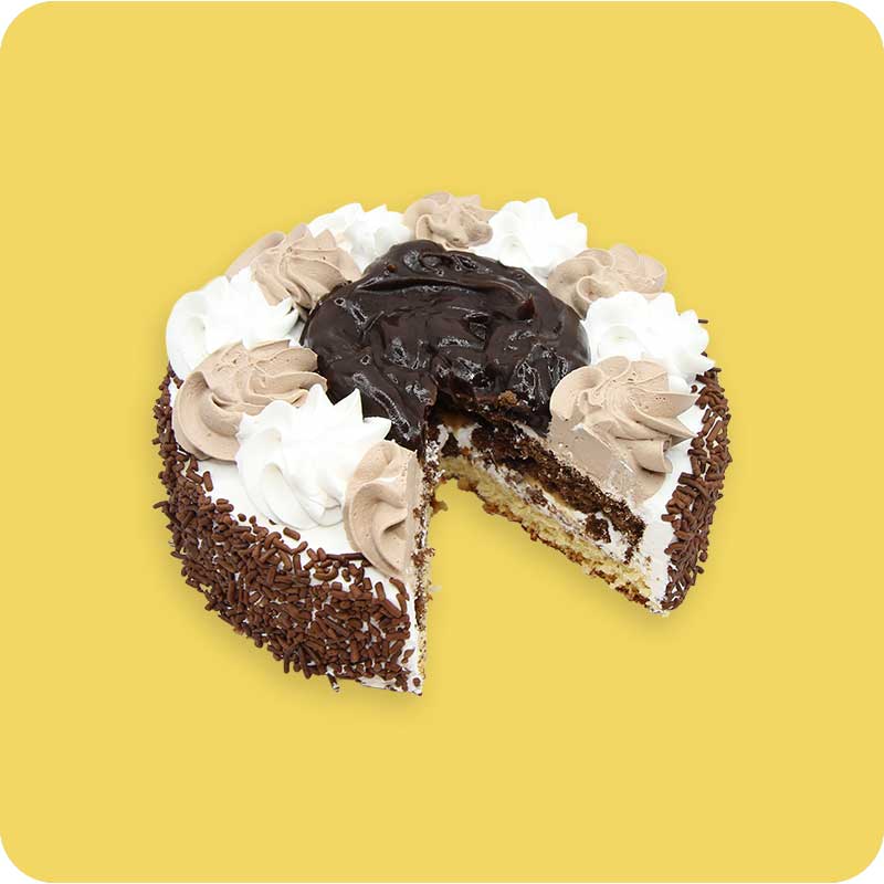 Serano Compact Cake_0