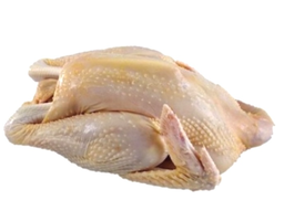 FRESH MEAT