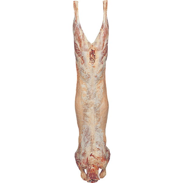 Whole Lamb (New Zealand)