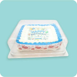 Birthday Square Dome Cake