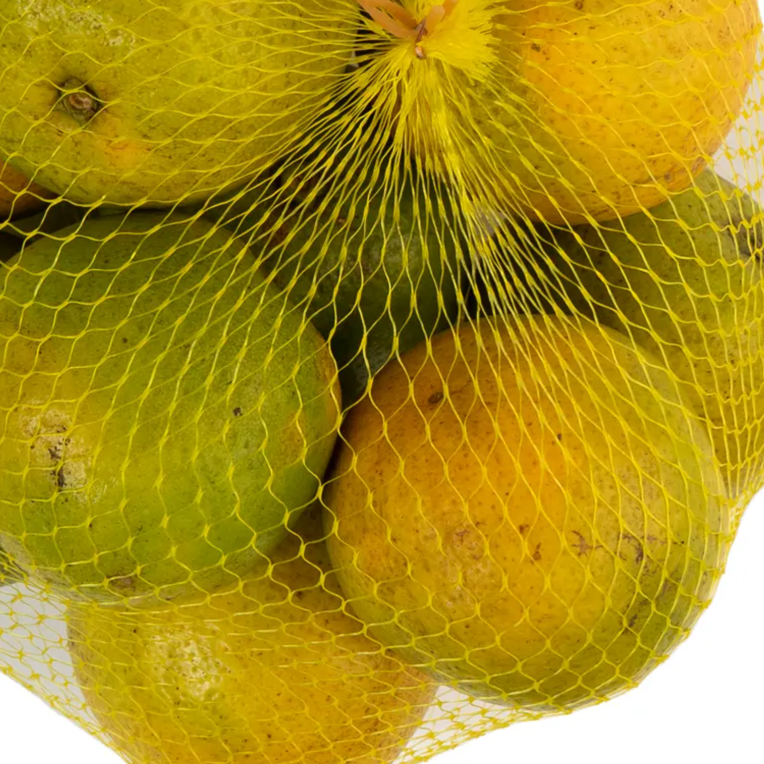 Naranja Nacional (criolla)_1