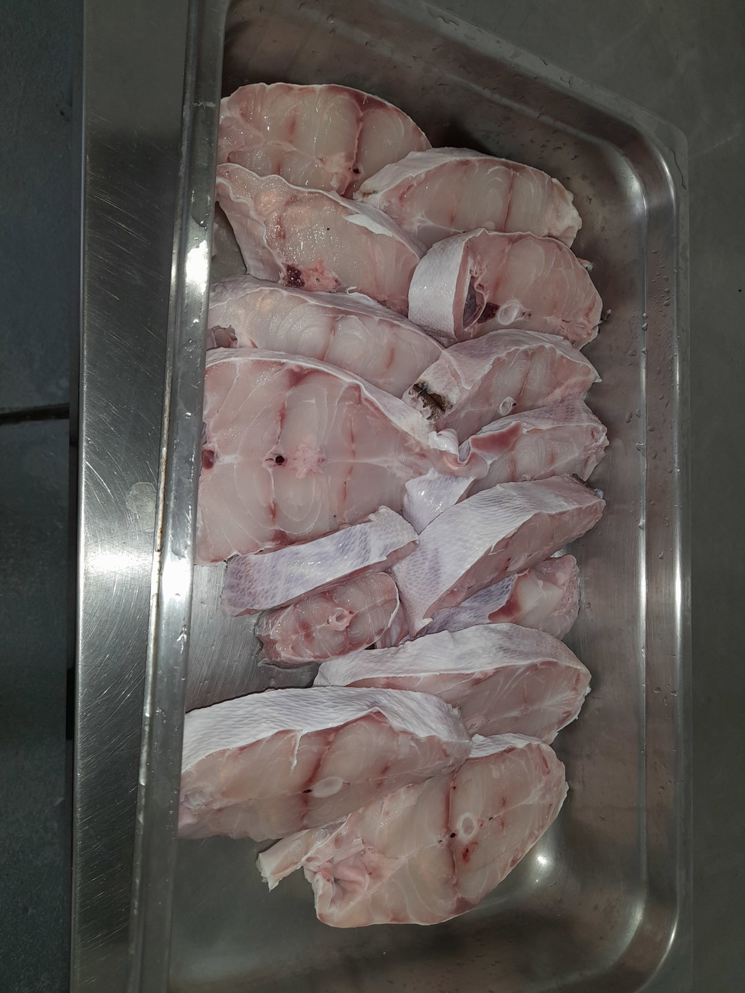 Grouper Steaks (5 lbs) 