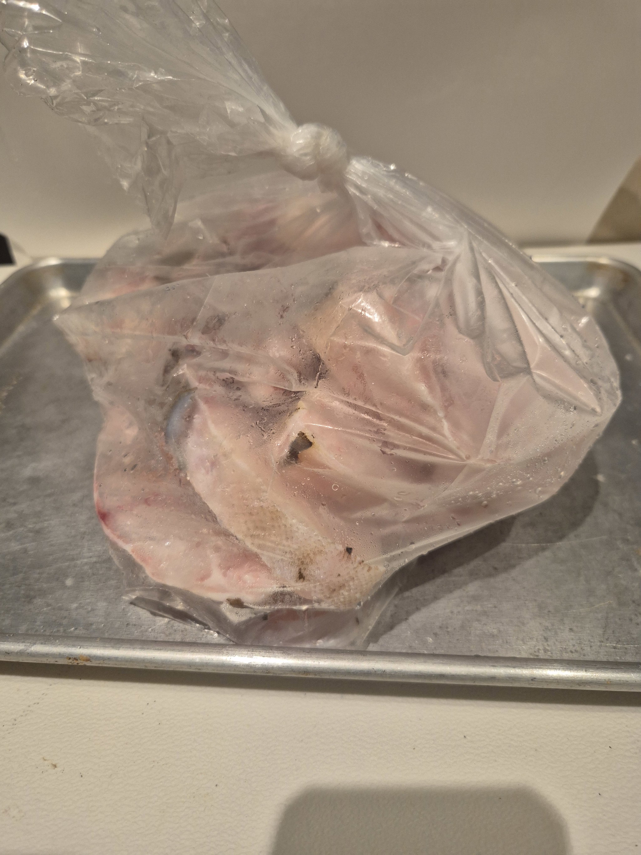 Grouper Steaks (5 lbs) _1