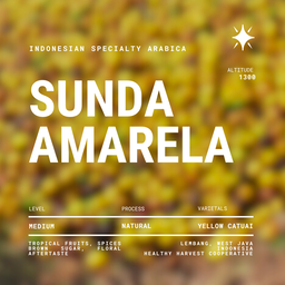 Sunda Amarela | Natural Arabica 