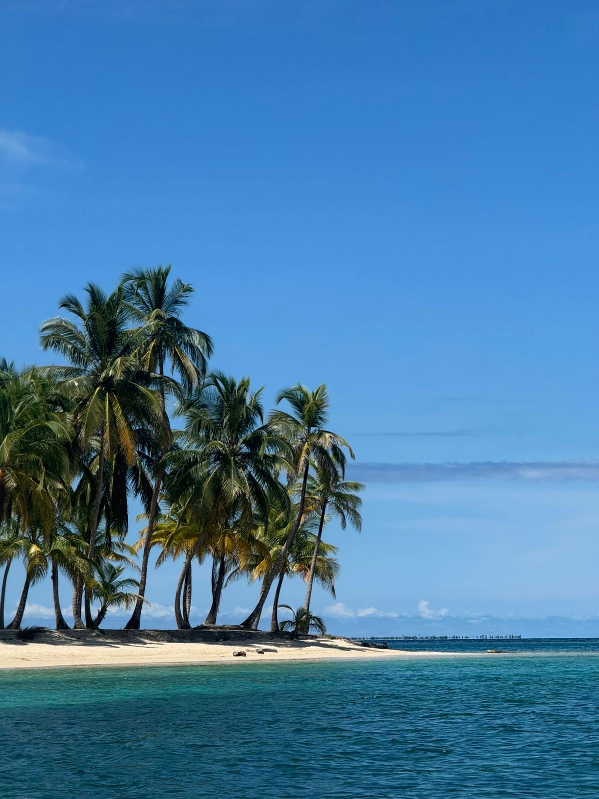 SAN BLAS PASADIA PREMIUM EXTRANJERO_2