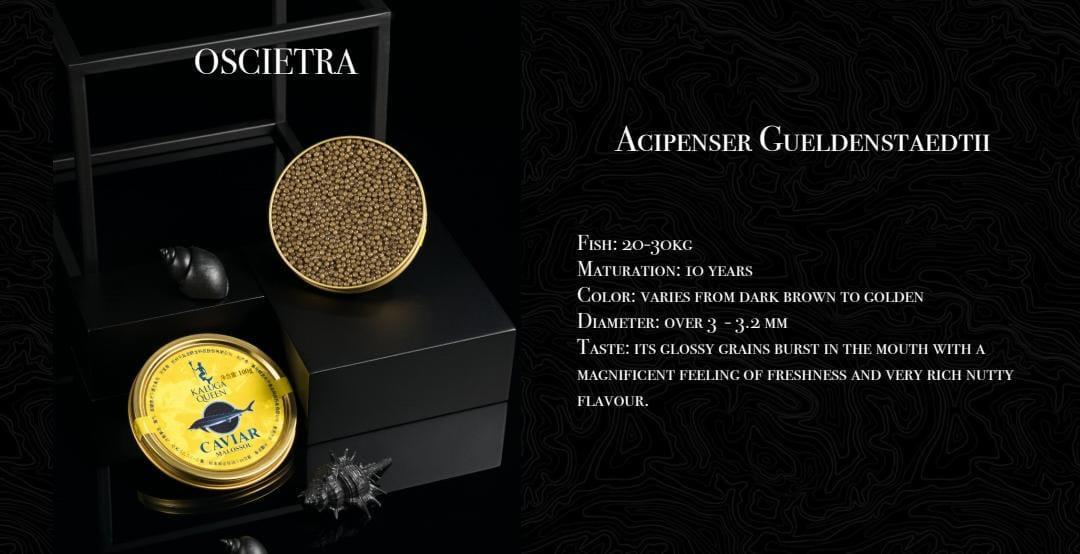 Oscietra Caviar - Kaluga Queen_0