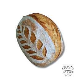 Multigrain