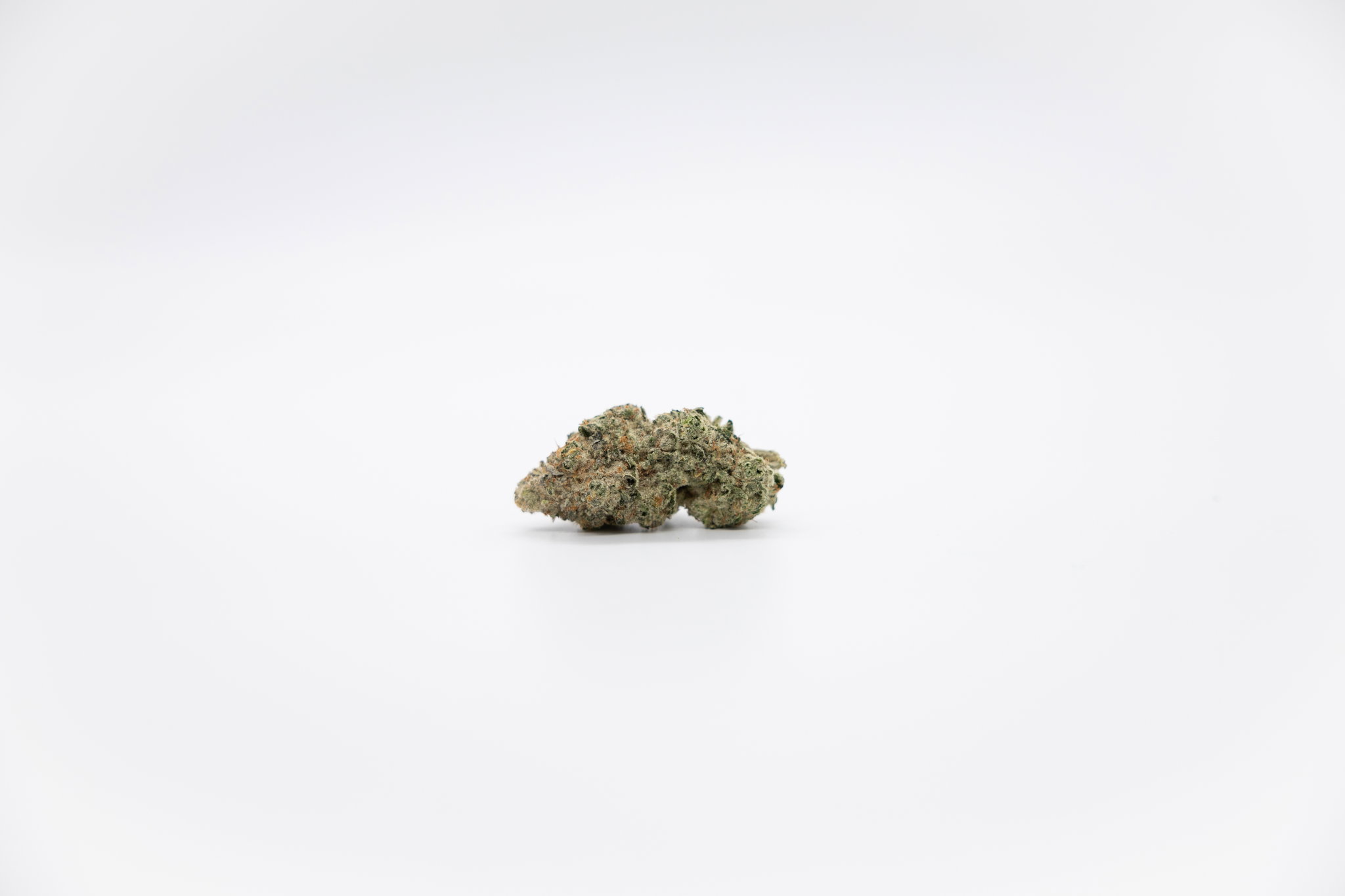 Rocky_0