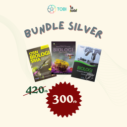 Bundle Silver