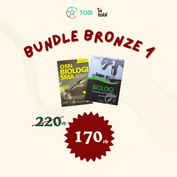 Bundle Bronze 1